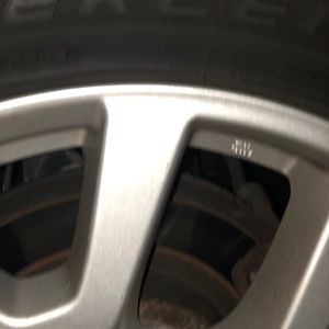 Meet your Posher, Katty